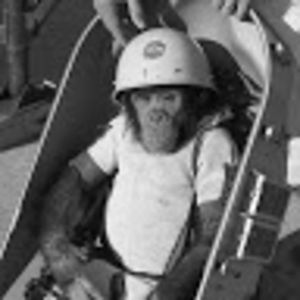 Meet your Posher, Cory